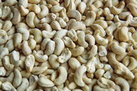 High Grade Cashew <b>Nuts</b> <b>Kernels</b> W180 - Extra Large Whole Cashews from Vietnam International Export Supply - Product Image 5