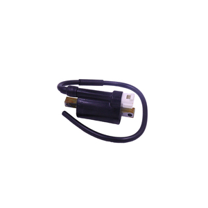 Bobine H.T de qualité authentique avec coupeur scellé pour Bajaj Tuk tuk 3W pièces de rechange disponibles à la vente en Colombie à un prix très abordable - Product Image 3