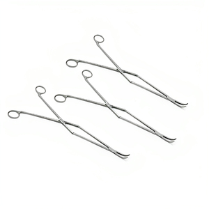 REHMAT NOOR INDUSTRY RN-EPF-001 Fórceps Periodontales Dentales de Punta Fina Equina de Acero Inoxidable de Primera Calidad - Product Image 1