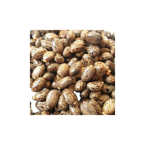 เมล็ดจา atropha แบบแห้งคุณภาพสูงบรรจุตามสั่งอายุการเก็บรักษา2ปี - Product Image 1