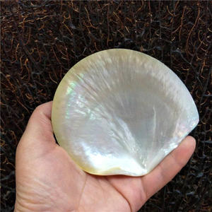 Coquillages en nacre de qualité supérieure du Vietnam Technique polie Prix compétitifs pour une décoration de bijoux exclusive - Product Image 5