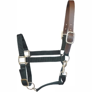 Nuevo 2025 Cabestro de nailon para caballos de alta calidad PP Cabestros para caballos Collares de cabeza de caballo - Product Image 1