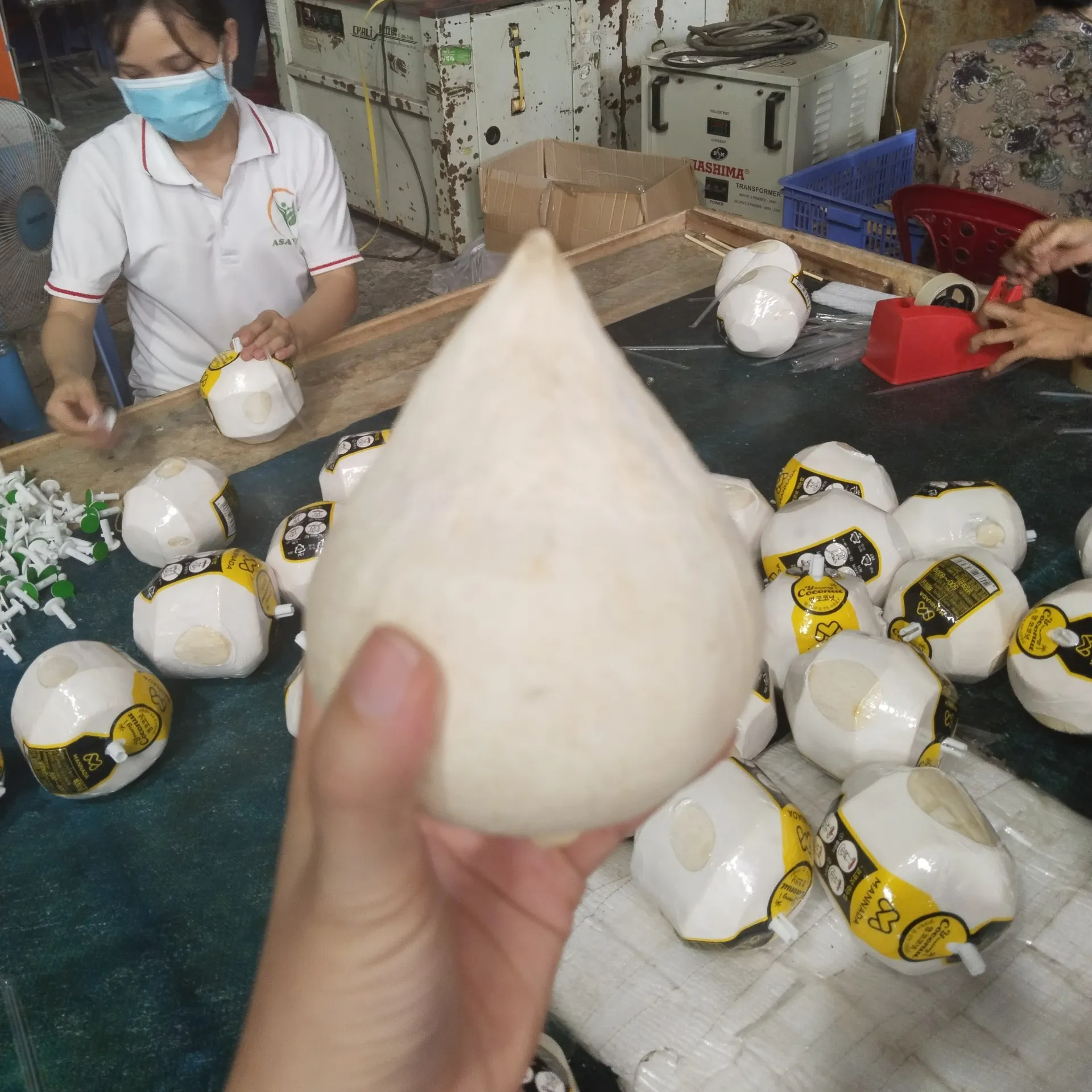 VIETNAM kelapa muda segar/kelapa segar dengan BRIX tinggi dan harga bagus-WHATSAPP: + 84 358211696