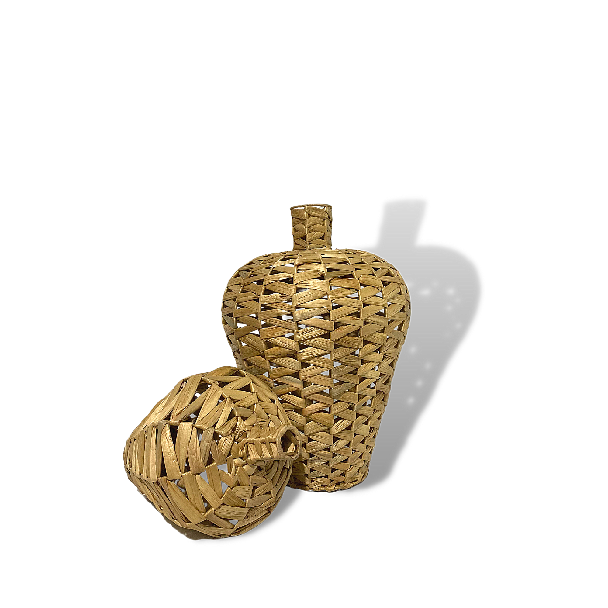 ธรรมชาติ