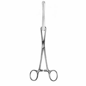 INTESTINES & STOMACH - Product Image 5