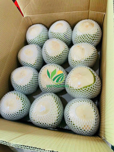 VIET THIEN PHU Fresh Coconut-Calidad premium-Embalaje a granel-Producto caliente-La mejor oferta del mes - Product Image 3