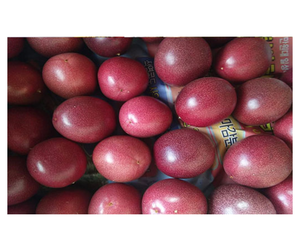 Fruit de la Passion Frais à Bon Prix - Fournisseur Vietnamien - Fruit de la Passion Jaune et Violet pour la Distribution en Gros - Product Image 6