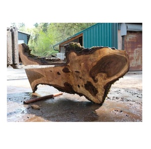 ลูกไม้วอลนัทสีดำคุณภาพพรีเมี่ยมเหมาะสำหรับโครงการภูมิทัศน์และความงามตามธรรมชาติ - Product Image 4