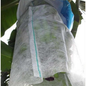 Kosite Spunbond Non Woven Fabric 60gsm 43/44 In Anti Uv Agriculture Cover - Product Image 4