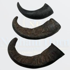 Friandise dure et durable pour chien en corne de buffle naturelle qui soutient la force des mâchoires et favorise la mastication active - Product Image 3