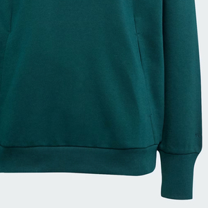 Sudadera con capucha de mezcla de algodón 100% Sudadera con capucha de invierno con bordado frontal Fabricante de impresión digital - Product Image 3