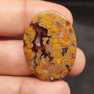 Cabujón de Ágata Turca Marrón Natural para la Fabricación de Joyas |   Ágata Pulida de Alta Calidad al por Mayor - Product Image 1