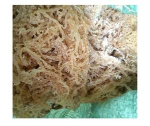 Hot Sale Sea Moss Vietnam Export Premium Dried Eucheuma Cottonii Irish <b>Seaweed</b> Potent Superfood Skin Wellness Digestion Boost - Product Image 2