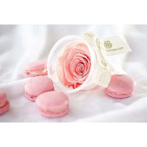 Rosa Eterna, Artículos Personalizados para Fiestas, Recuerdos Personalizados para Tu Ocasión Especial - Product Image 5