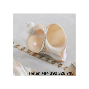 ANNEAUX DE SERVIETTE EN COQUE DE CONQUE DE LUXE COQUILLE TURBO BLEUE TRANSFORMÉE EN ENSEMBLE 4 BAGUES AUTHENTIQUES POUR LA DÉCORATION DE FÊTE DE MARIAGE - Product Image 3