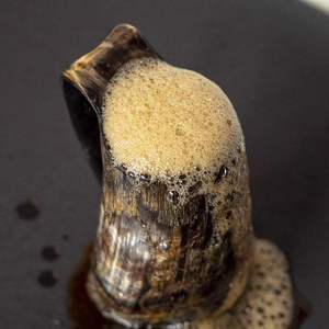 Viking Coffee Horn <b>Mug</b> Eco-Friendly Religious Animal Natural High Quality - Product Image 2