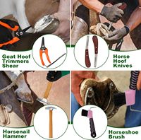 Kit de herramientas para cortar caballos equinos, 12 unidades, equipo veterinario profesional