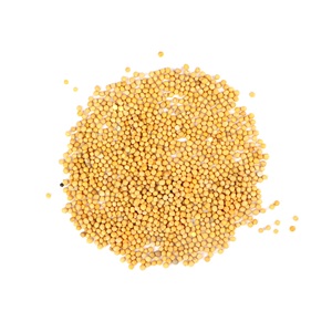 Fournisseur direct d'usine, herbes et épices séchées, matières premières, graines de moutarde - Product Image 5