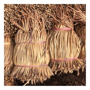 Jacinto de agua seco directamente de la granja, precios al por mayor, paquete de jacinto de agua crudo para manualidades - Product Image 1