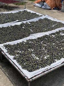 Fleurs de pois papillon séchées pures Fleur de thé bleu - Product Image 2