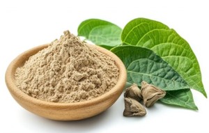 Polvo de extracto de hierbas de Kava natural 100% Raíz de Kava cultivada en estado salvaje - Product Image 4