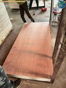 Gabinetes y Armarios Bintangor de Vietnam, Muebles de Interior para Hoteles, Núcleo de Eucalipto/Acácia de 15 mm, 16 mm, 18 mm, Grado de Primera Clase - Product Image 3