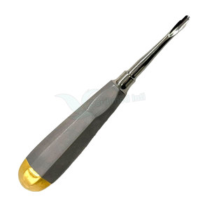 Hot Sale <b>Elevator</b> Root Oral Surgery Dental Instruments Stainless High-Quality Dental <b>Elevator</b> - Product Image 1