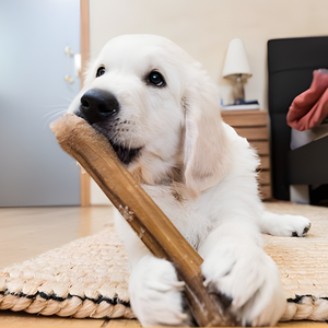 Bois de café naturel à mâcher - Un choix sûr et durable pour les chiens - Product Image 6
