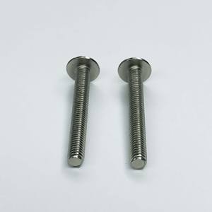 Bon prix OEM/ODM M1.4-M12 SS304/SS316 vis à tête cylindrique Phillips vis à tête bombée pour l'automobile - Product Image 3