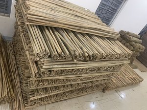 Producto de estacas de bambú crudo Eco2go para jardinería estacas de Bambú | Bastones de bambú duraderos y a buen precio de Vietnam - Product Image 4