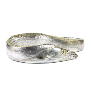 Roman troops ริบบิ้นแช่แข็งคุณภาพสูงปลาทะเลที่ดีที่สุดอายุการเก็บรักษา24เดือน meerut อินเดีย - Product Image 3