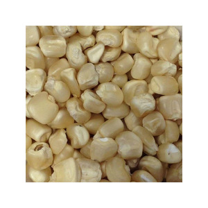 Maíz blanco recién cosechado, suministro a granel, ideal para el comercio global - Product Image 3
