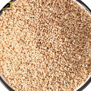 2026 New Crop White <b>Sesame</b> <b>Seeds</b> High Quality <b>Oil</b> Content Natural <b>Sesame</b> Bulk Supply For Food Grade - Product Image 5