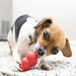 Juguete Ecológico de Lujo para Perros Kong, Pelota Interactiva para Mascotas Hecha de Goma, Algodón y Plástico, para Gatos - Product Image 3