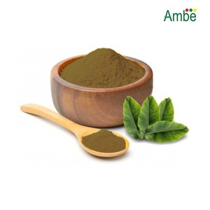Extracto de hoja de Banaba 5% ácido corosólico por HPLC ingrediente botánico de calidad superior al por mayor - Product Image 5