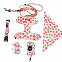 Ensemble Harnais et Laisse Personnalisés pour Chien – Gilet Anti-Traction Réglable avec Laisse Assortie pour Chiens de Petite et Moyenne Taille – Vente en Gros