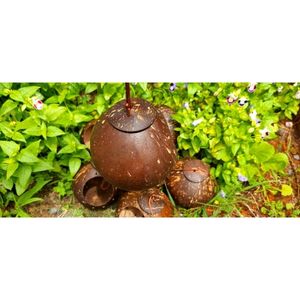 Casa de pájaros de cáscara de coco elegante y duradera hecha a mano de madera de Vietnam - Product Image 3