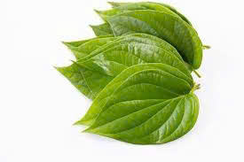 ใบพลูแห้งจากเวียดนามสินค้าเกษตร - Product Image 3