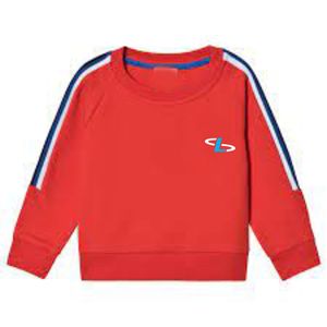 Sweat à capuche pour femmes sweats à capuche surdimensionnés épaule tombante pull Style coton lourd Streetweareat chemises - Product Image 1