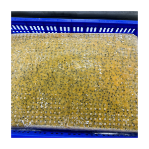 Pulpe et graine de fruit de la passion congelées en gros-Qualité d'exportation supérieure pour les fabricants de jus et les distributeurs de services alimentaires 2025 - Product Image 6
