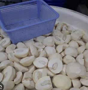 FRUITS À PAIN CONGELÉS DE HAUTE QUALITÉ/TRANCHES OU MORCEAUX IQF/EMBALLAGE EN VRAC POUR L'EXPORTATION DANS LE MONDE ENTIER - Product Image 1