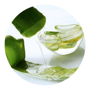 MEJOR PRECIO ALOE VERA JELLY PARA BEBIDAS SUAVES FRUTAS | DELICIOSAS Y NUTRICIONES - Product Image 5