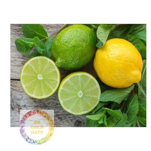 PREMIUM EXPORT FRESH SEEDLESS LIME VIETNAM FRUTA VERDE MEJOR PRECIO PROVEEDOR PARA EL MERCADO GLOBAL - Product Image 4