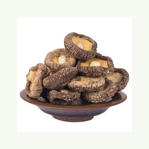 เห็ดในถังเห็ดก้น - Product Image 6