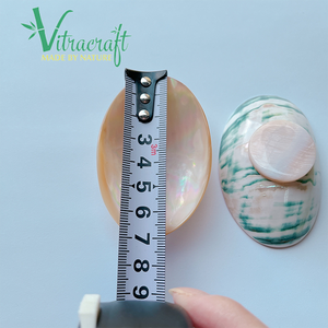 Assiette de conque artisanale de qualité supérieure Mini assiette de conque avec base Fabriqué à partir de coquilles de conque soigneusement sélectionnées Plat à caviar Taille 6-7cm - Product Image 6