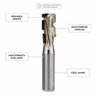 Fraise à défoncer ODM/OEM à bon prix, 2 dents, 25° de hélice, HRC55, en carbure non revêtu, 20 mm, pour le travail du bois, le panneau aggloméré et le bois massif