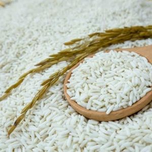 Directo de Vietnam 5%, arroz negro pegajoso roto de secado largo, textura suave para cocinar - Product Image 2