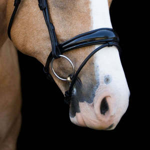 Bride en cuir roulé de cheval (Hanovrian) Bride anatomique en cuir de cheval Stanford - Product Image 4