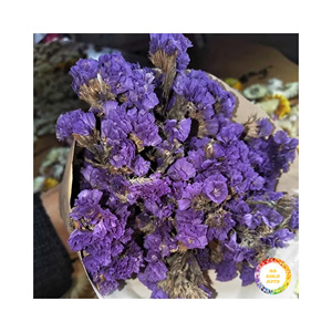 Wholesale Decorative <b>Dried</b> Salem Statice <b>Flower</b> <b>Dried</b> Salem Blossoms Salem Buds <b>Flower</b> Tea Vietnam 99 Gold Data - Product Image 2