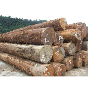 Troncos de Pino Amarillo del Sur Calidad A/B/C con Diámetro de 30 cm o más para Estructuras y Construcción Pesada - Product Image 4